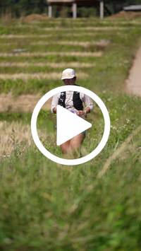 BIB:  <button type="button" onclick="openModal(26787241)" class="btn btn-primary btn-sm float-right" data-toggle="modal" data-target=".modal-high-quality">
                <i class="fa fa-download"></i> Download
                </button>